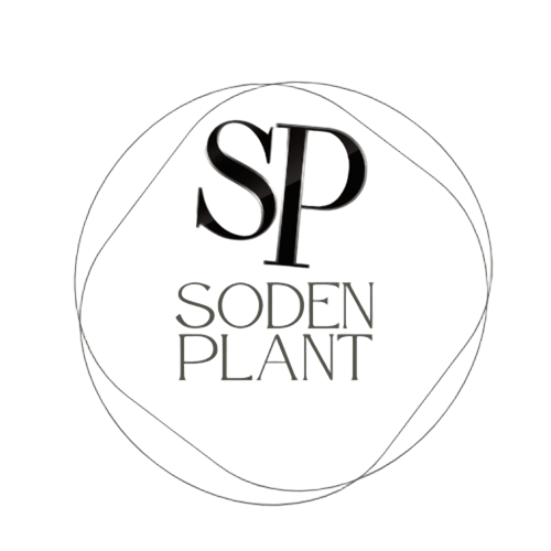 SODENPLANT